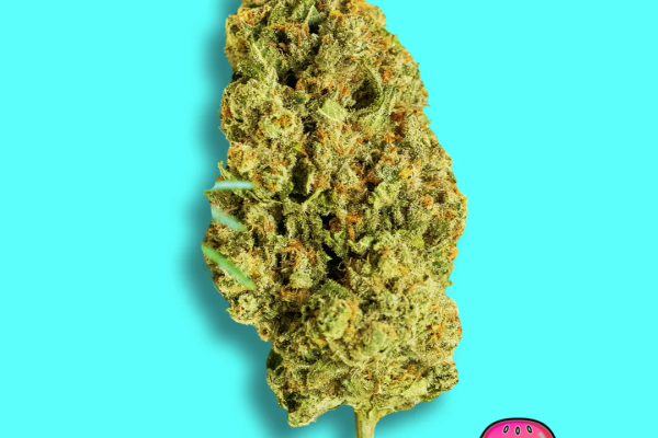 How does it store delta 8 flowers to keep it fresh and potent?