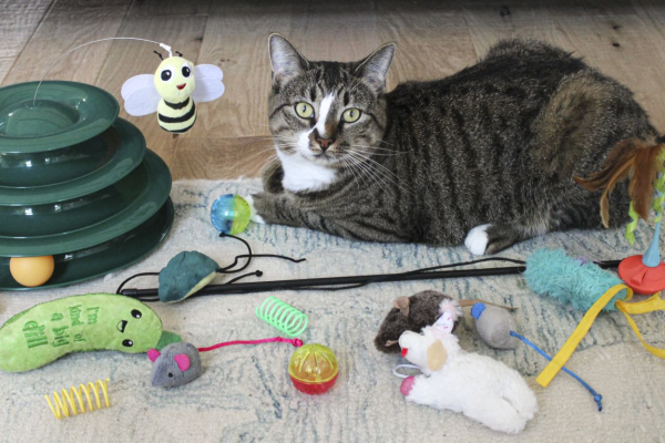 The Best Smart Pet Products for Tech-Savvy Pet Owners