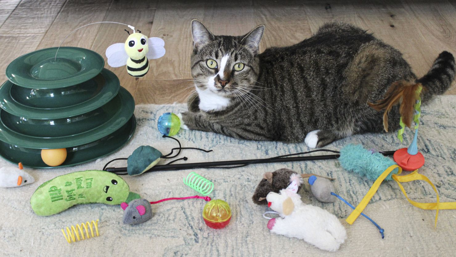 The Best Smart Pet Products for Tech-Savvy Pet Owners