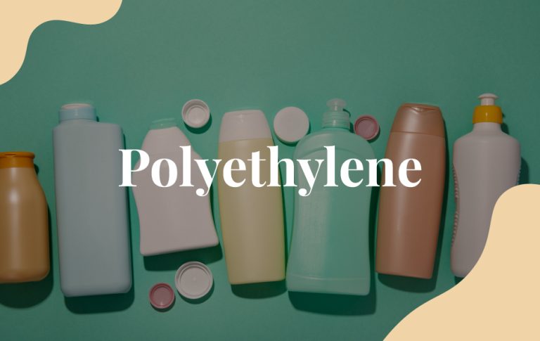 Exploring the Lifecycle of Plastics Through PET Recycling