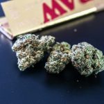 Edibles Online Canada Providing Delicious Options for a Relaxing Experience