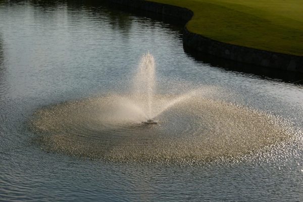 Fountain, water feature, illuminated — How Tiranga App Uses Machine Learning for Predictions