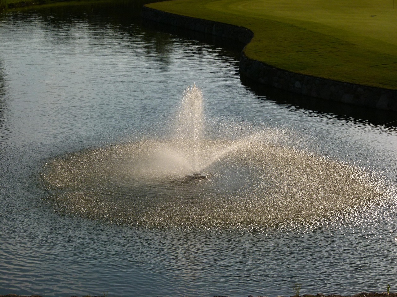 Fountain, water feature, illuminated — How Tiranga App Uses Machine Learning for Predictions
