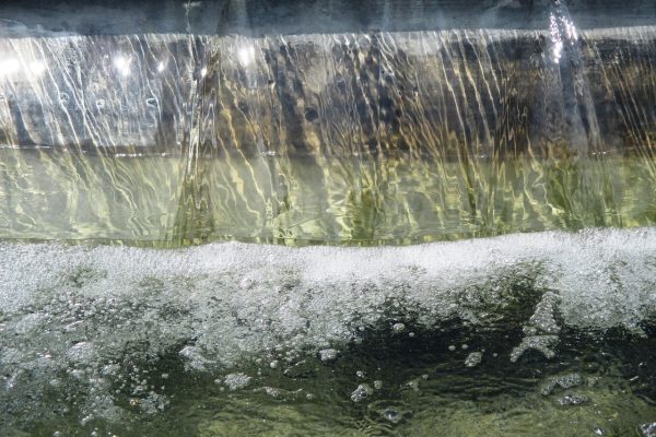 Fountain, water, pool of water — How to Spot the Most Generous Slot Machines